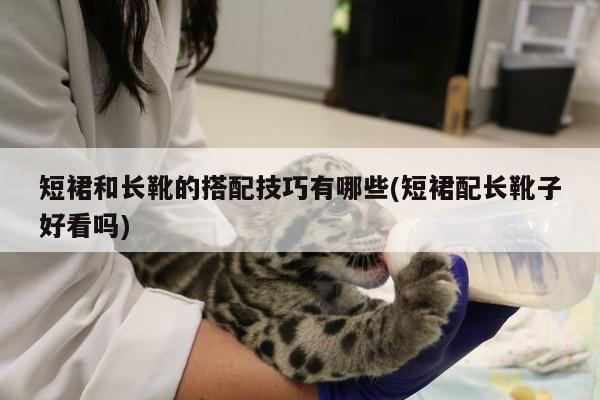 短裙和长靴的搭配技巧有哪些(短裙配长靴子好看吗)