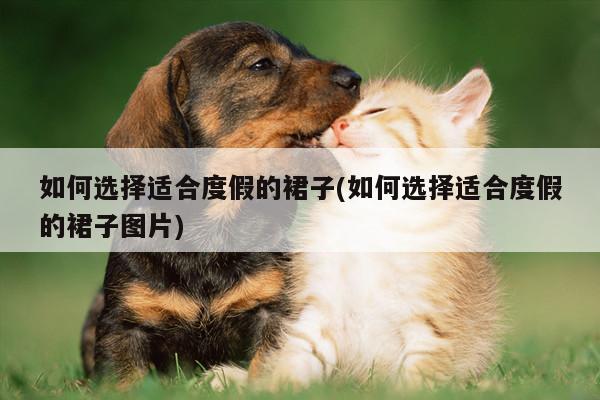 如何选择适合度假的裙子(如何选择适合度假的裙子图片)