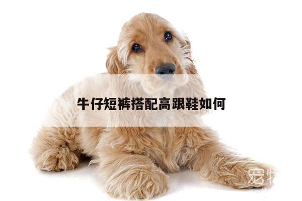 牛仔短裤搭配高跟鞋如何